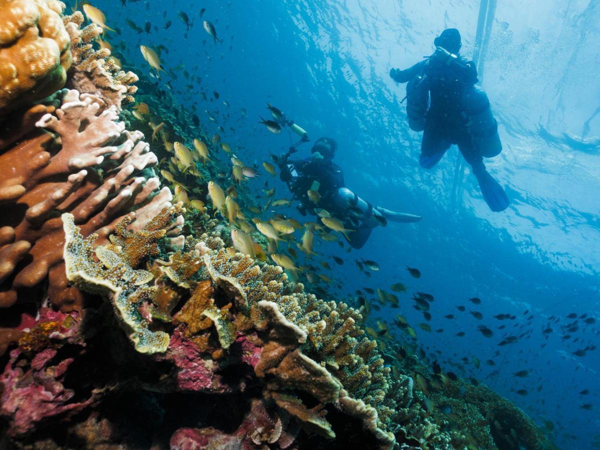 Cebu Seaview Dive Resort Moalboal Esterno foto
