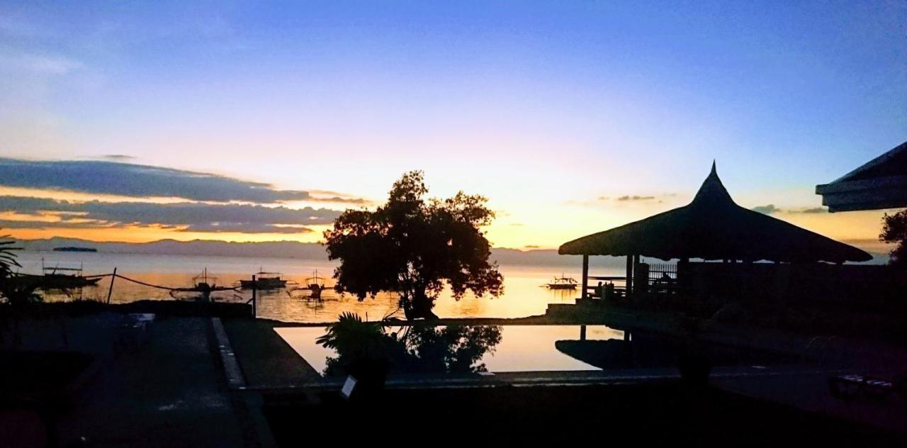 Cebu Seaview Dive Resort Moalboal Esterno foto
