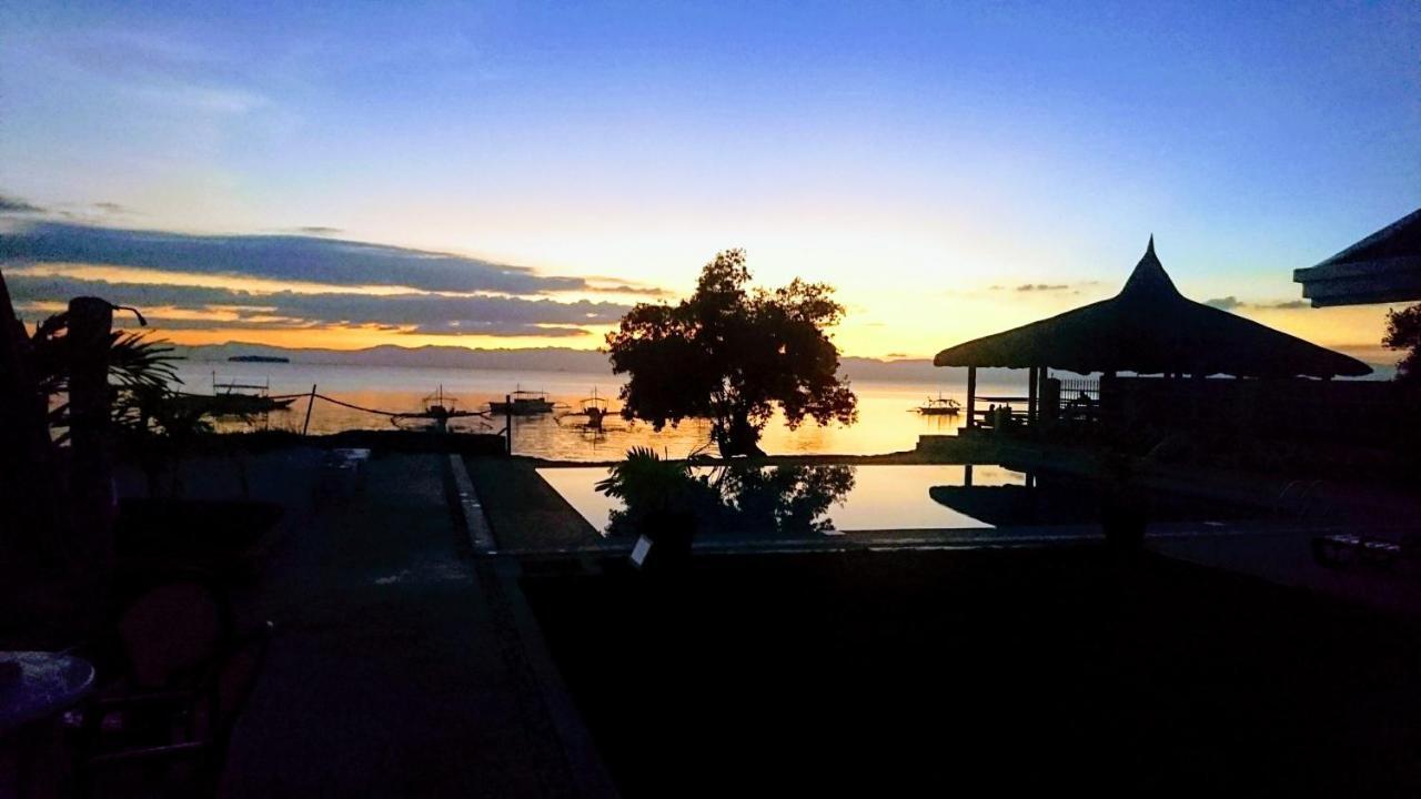 Cebu Seaview Dive Resort Moalboal Esterno foto